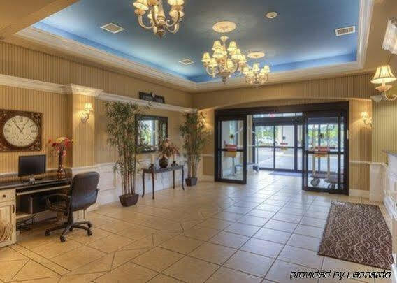 Comfort Inn & Suites Chattanooga West - Lookout Mountain Экстерьер фото